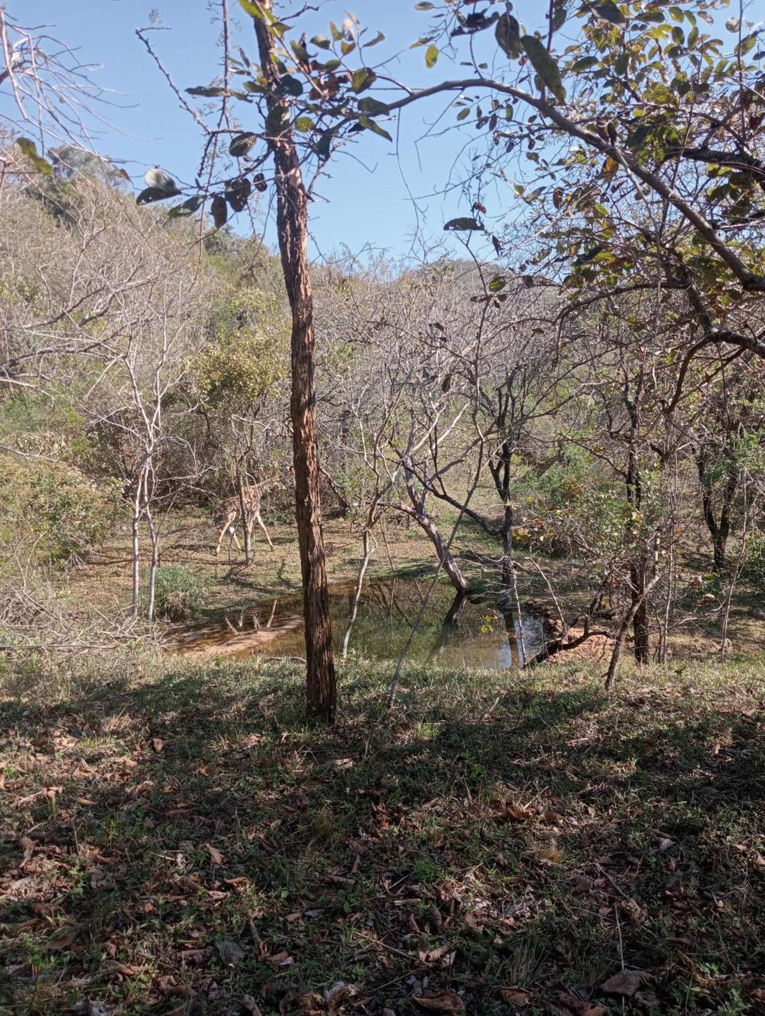 Hazyview Bogarts Villa 外观 照片